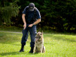 police dog training